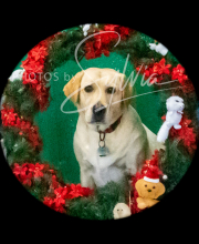 2024-11-2-3-XMAS-288