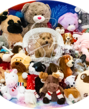 2024-11-2-3-XMAS-309