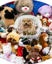 2024-11-2-3-XMAS-310