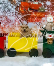 2024-11-2-3-XMAS-313