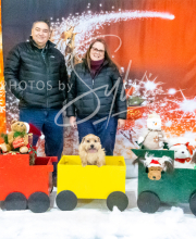 2024-11-2-3-XMAS-315