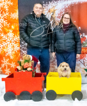 2024-11-2-3-XMAS-316