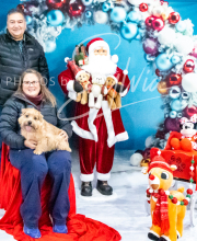 2024-11-2-3-XMAS-317