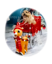 2024-11-2-3-XMAS-324