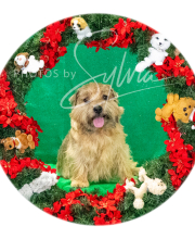 2024-11-2-3-XMAS-325