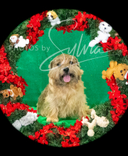 2024-11-2-3-XMAS-326