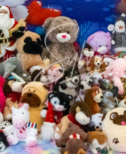 2024-11-2-3-XMAS-344