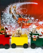 2024-11-2-3-XMAS-346