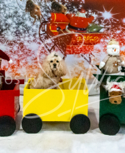 2024-11-2-3-XMAS-347