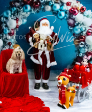 2024-11-2-3-XMAS-349