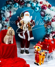 2024-11-2-3-XMAS-353