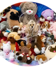 2024-11-2-3-XMAS-356