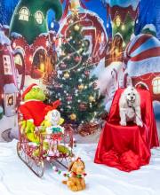 2024-11-2-3-XMAS-357