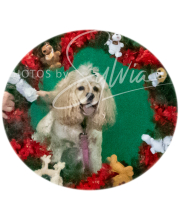 2024-11-2-3-XMAS-358