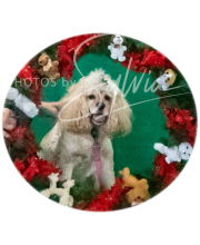 2024-11-2-3-XMAS-361