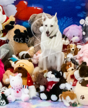 2024-11-2-3-XMAS-369