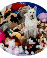 2024-11-2-3-XMAS-370