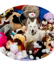 2024-11-2-3-XMAS-372