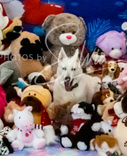 2024-11-2-3-XMAS-373