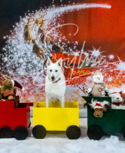 2024-11-2-3-XMAS-376