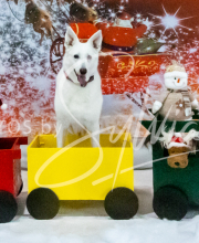 2024-11-2-3-XMAS-378