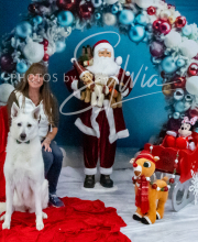 2024-11-2-3-XMAS-381