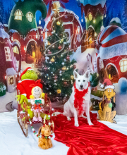 2024-11-2-3-XMAS-387