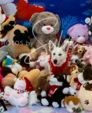 2024-11-2-3-XMAS-391