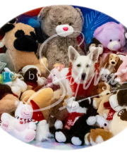 2024-11-2-3-XMAS-393