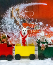 2024-11-2-3-XMAS-394