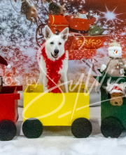 2024-11-2-3-XMAS-395