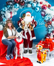 2024-11-2-3-XMAS-397