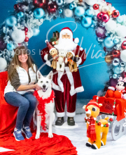 2024-11-2-3-XMAS-400