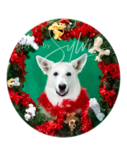 2024-11-2-3-XMAS-402