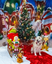 2024-11-2-3-XMAS-404