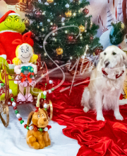 2024-11-2-3-XMAS-405