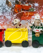 2024-11-2-3-XMAS-406