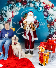 2024-11-2-3-XMAS-409