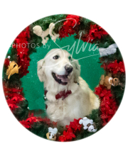 2024-11-2-3-XMAS-413