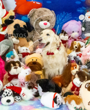 2024-11-2-3-XMAS-417