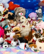 2024-11-2-3-XMAS-418