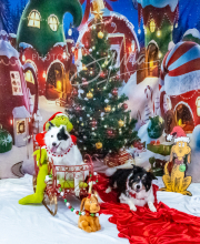 2024-11-2-3-XMAS-419