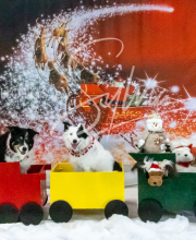 2024-11-2-3-XMAS-429