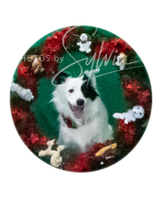 2024-11-2-3-XMAS-437