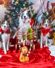 2024-11-2-3-XMAS-455