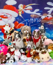 2024-11-2-3-XMAS-458