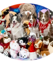 2024-11-2-3-XMAS-459