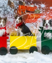 2024-11-2-3-XMAS-462