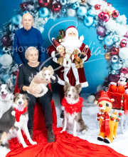 2024-11-2-3-XMAS-486