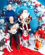 2024-11-2-3-XMAS-488